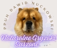 PPUG Dawid Nuckowski logo